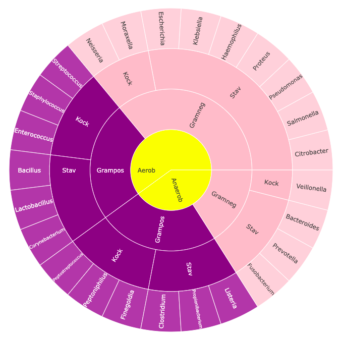 sunburst diagram in pink and purple with yellow center